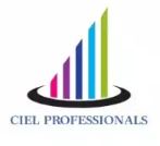 CIEL Professionals Logo